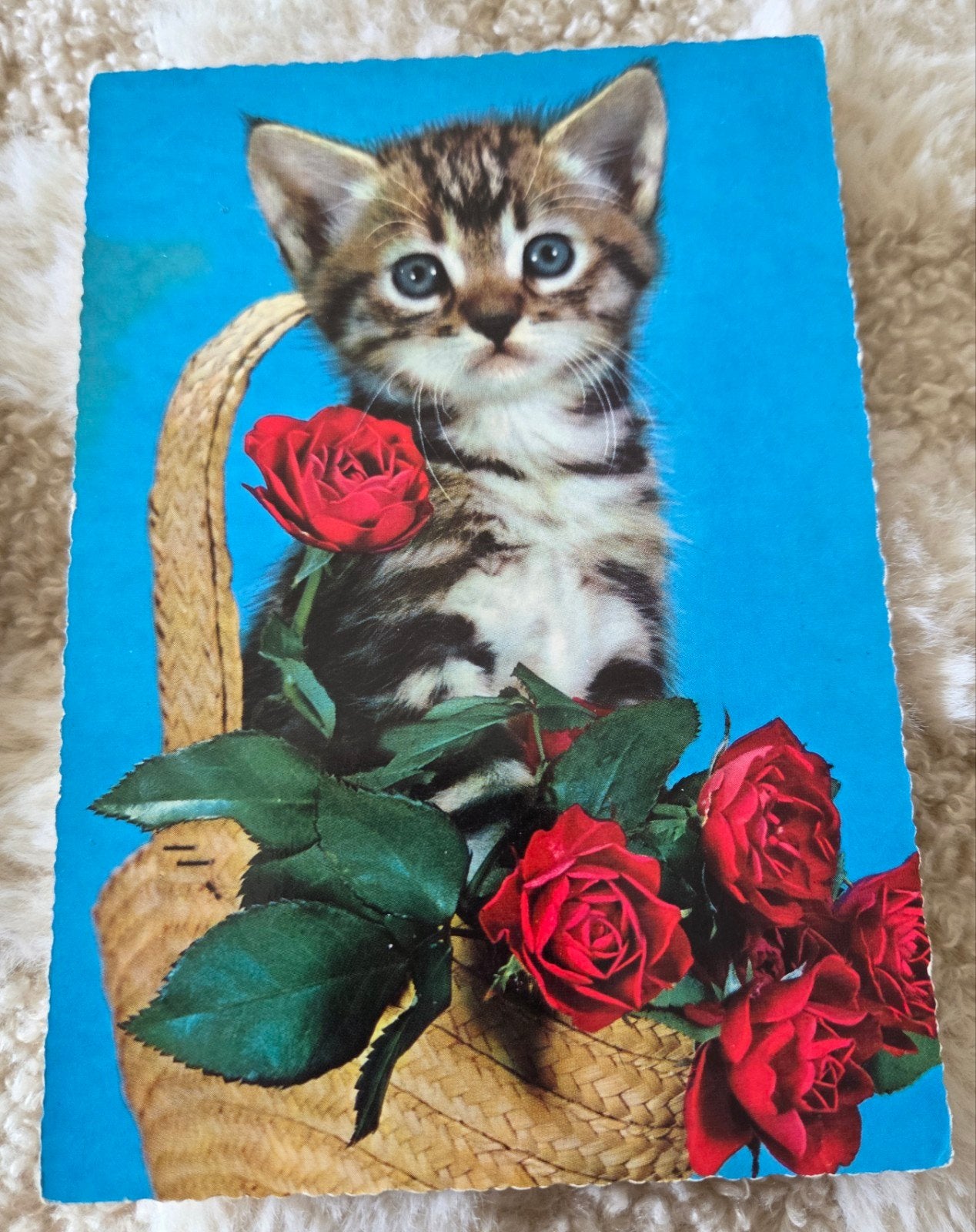 Vintage Ansichtkaart: Lieve Kitten in Mand met Rozen, Verzenden, 1960 tot 1980, Ongelopen, Hond of Kat