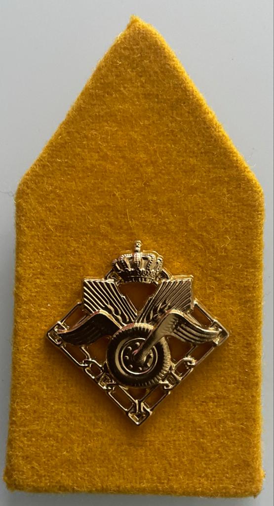 Kraagspiel Regiment Bevoorrading en Transport Troepen., Verzenden, Landmacht, Nederland, Embleem of Badge