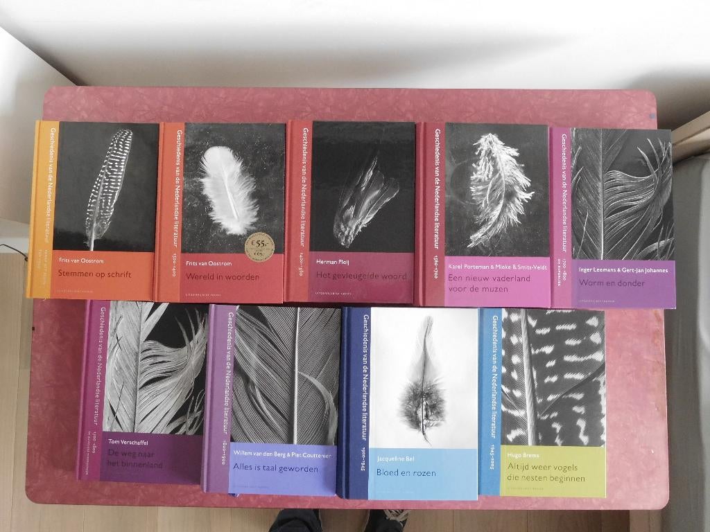 Geschiedenis van de Nederlandse literatuur, Ophalen of Verzenden, Zo goed als nieuw