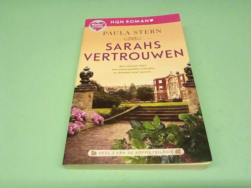 paula stern /// 330 /// sarahs vertrouwen ///, Ophalen of Verzenden, Zo goed als nieuw