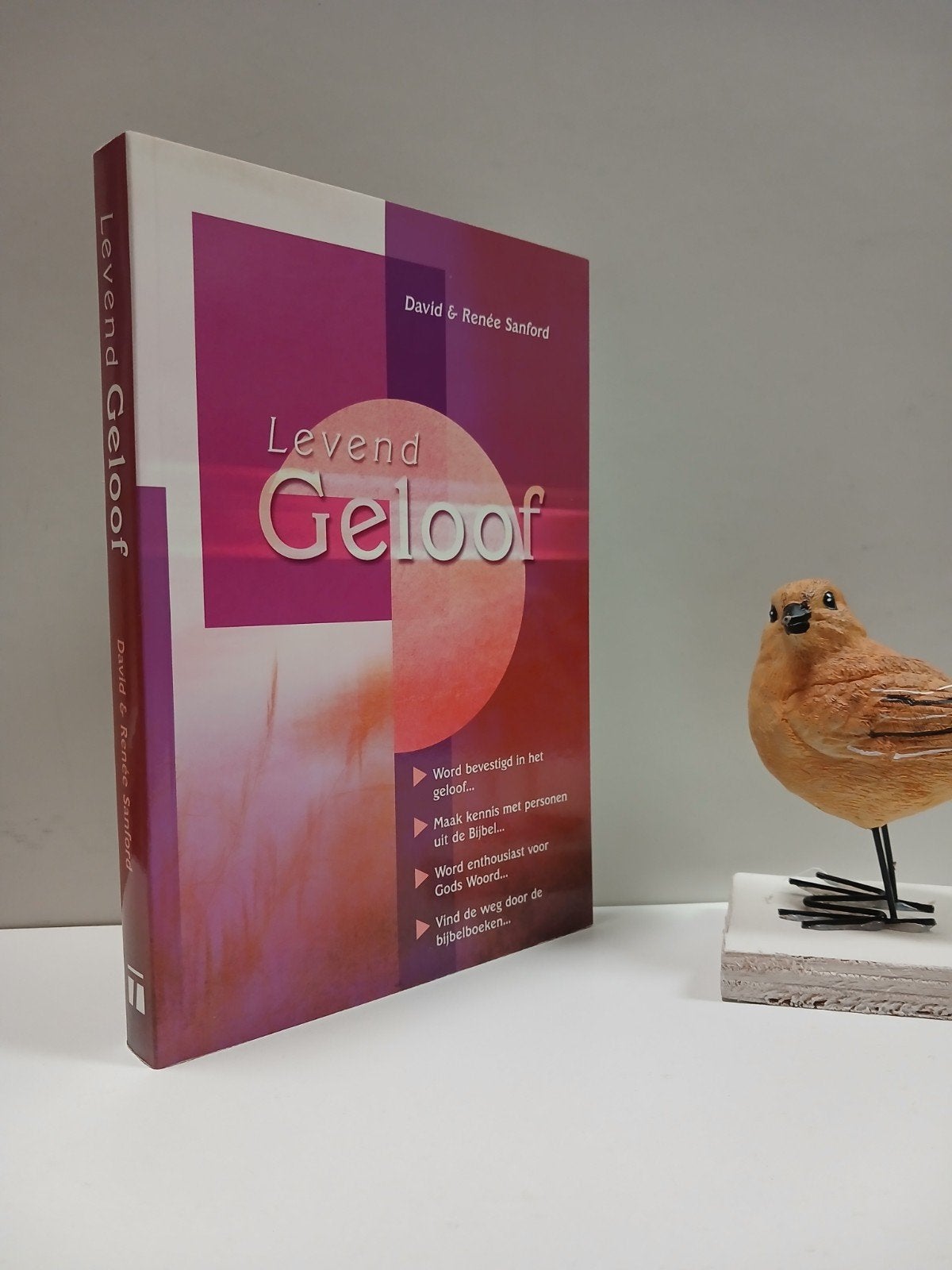 Sanford, David & Renee; Levend geloof, Ophalen of Verzenden, Gelezen, Christendom | Protestants