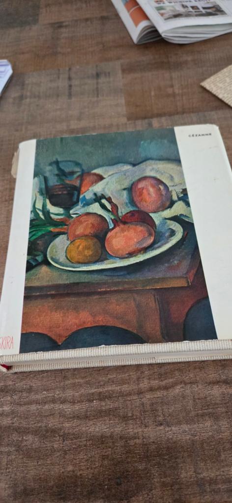 Boek over  Cézanne in het Frans 1954, Boeken, Ophalen of Verzenden, Gelezen