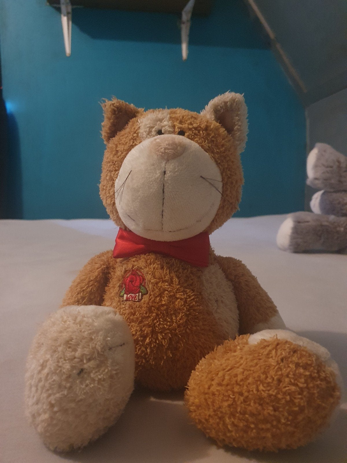 Schattige Oranje Kat Knuffel met Witte Vlekken, Ophalen