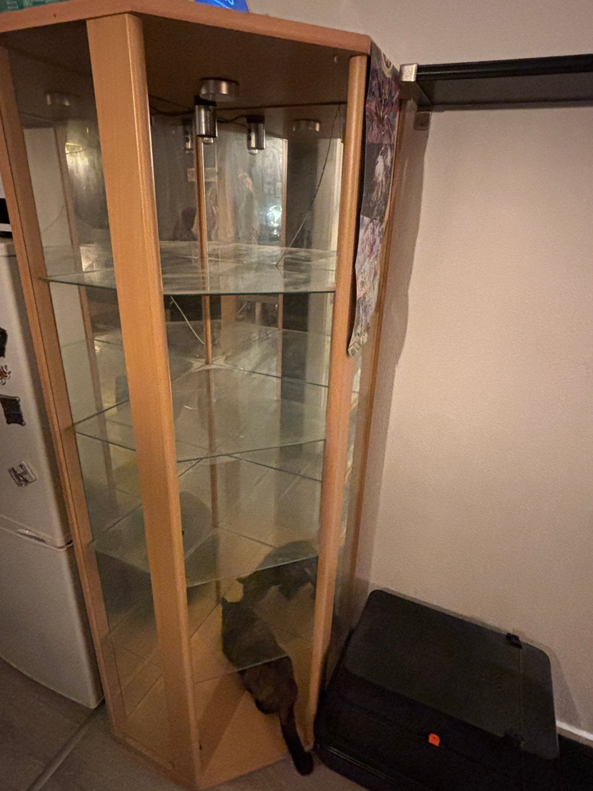Vitrinekast gratis, Ophalen, Met plank(en), Gebruikt, 100 tot 150 cm