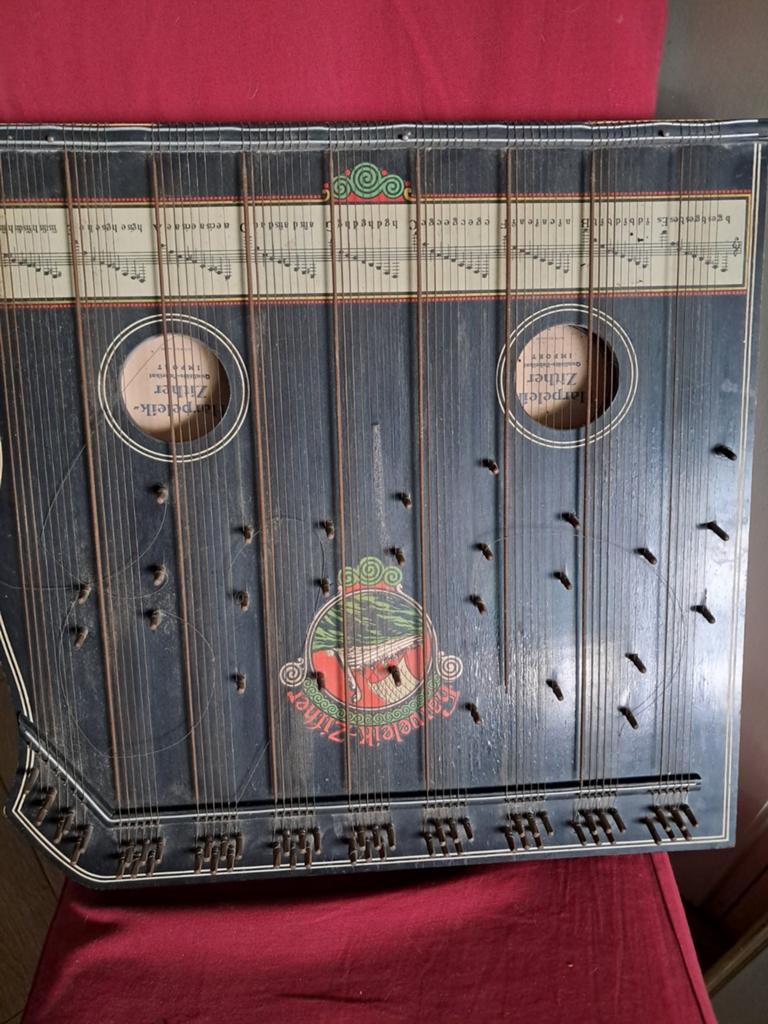 Snaar instrument, Muziek en Instrumenten, Ophalen of Verzenden, Overige typen