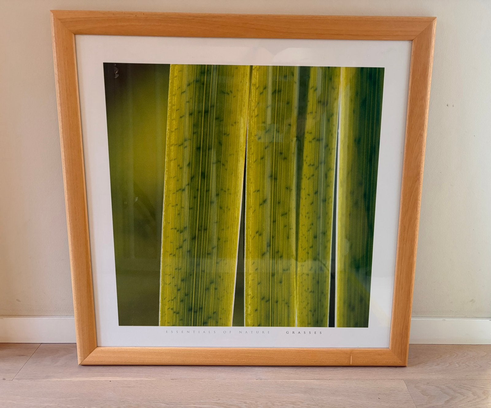 Houten lijst 77x77 cm, met glas, incl poster, Ophalen, Bruin, Gebruikt, Met clips