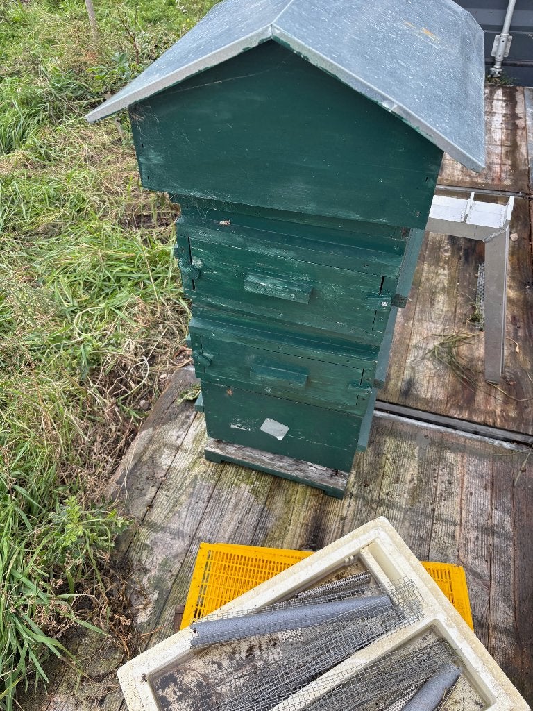 Warré Bijenkast, Dieren en Toebehoren, Bijen