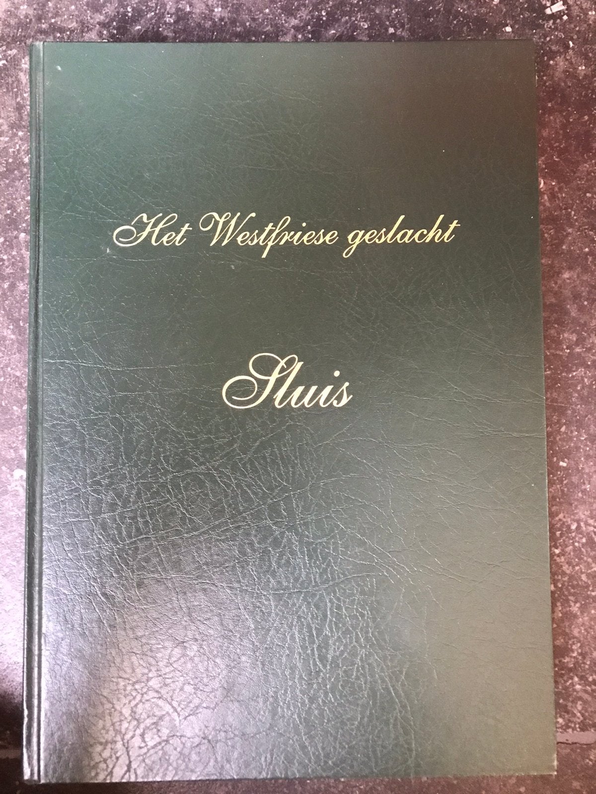 Het Westfriese Geslacht Sluis, Boeken, Geschiedenis | Stad en Regio, Ophalen of Verzenden, Zo goed als nieuw