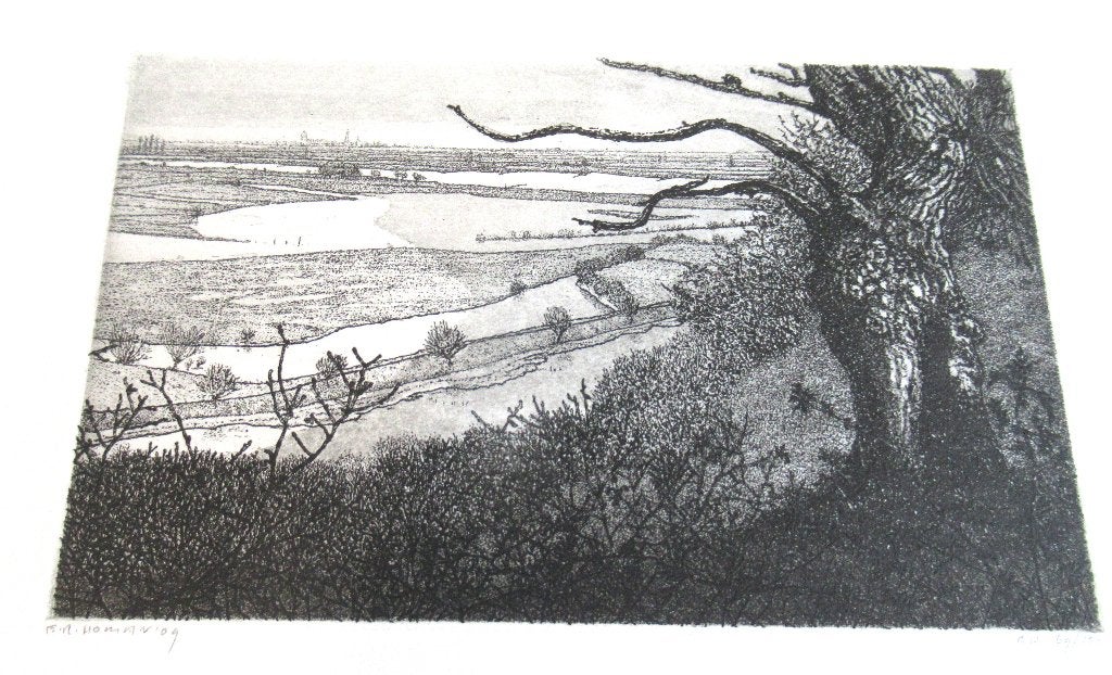 Homan ets en Boek, Antiek en Kunst, 2000 tot heden, Ets, Ophalen of Verzenden, Landschap
