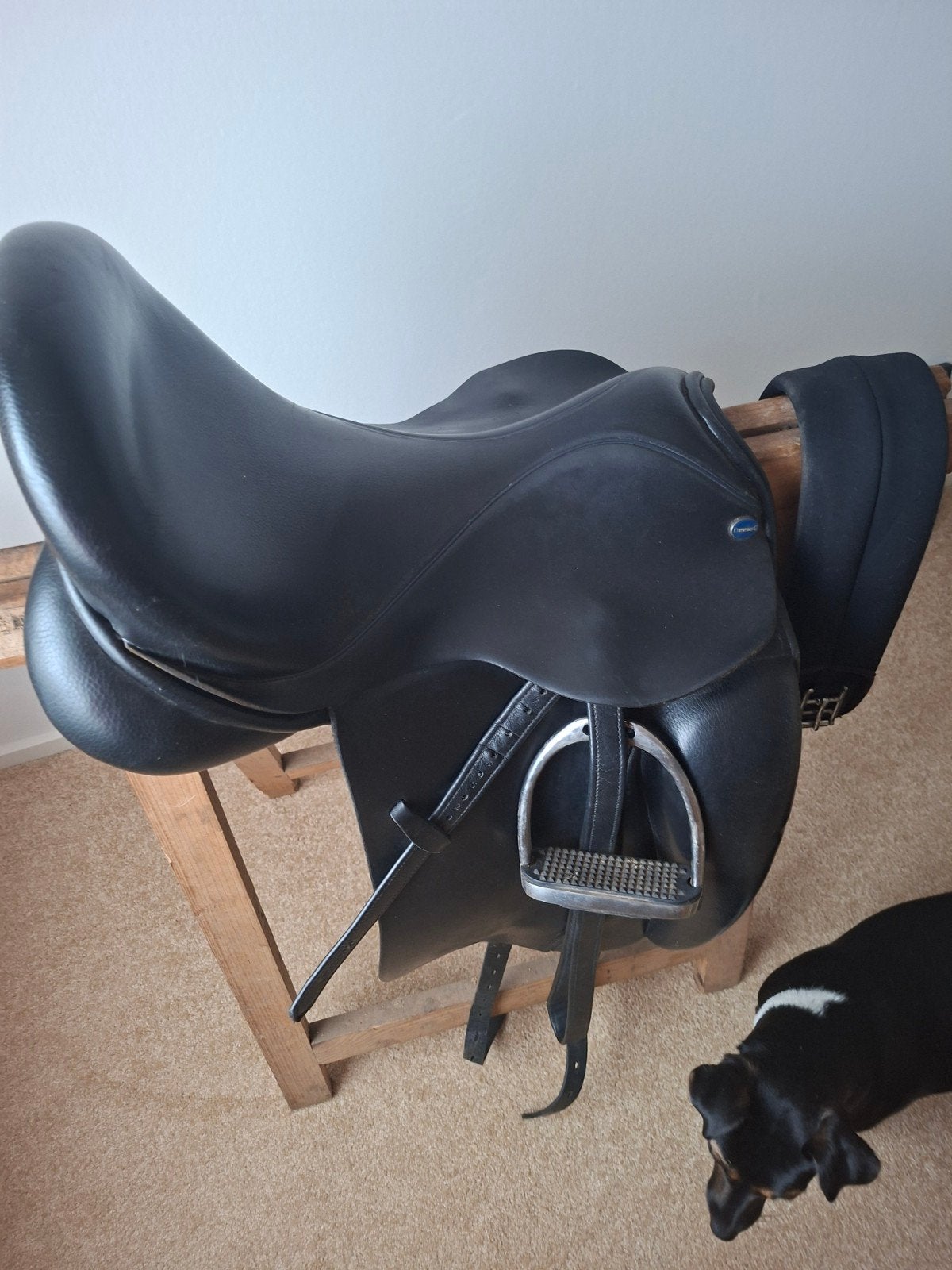 euroriding titan 2, Ophalen, L (17.5 inch), Dressuur, Zo goed als nieuw