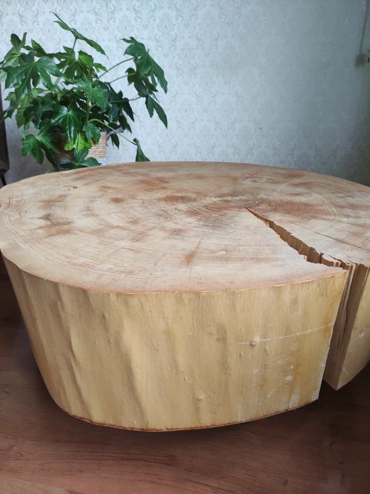 boomstamtafel op wielen, Ophalen, Rond, Hout, 75 tot 100 cm