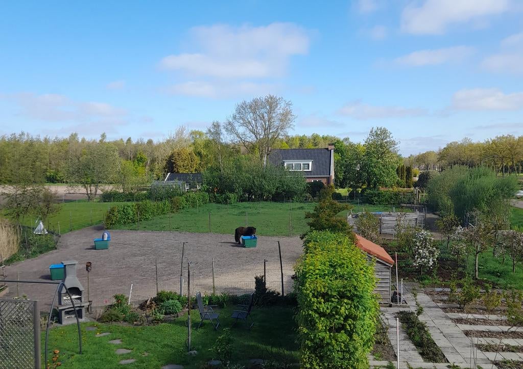 Paddock paradise voor kleine speelse pony, Dieren en Toebehoren, 1 paard of pony