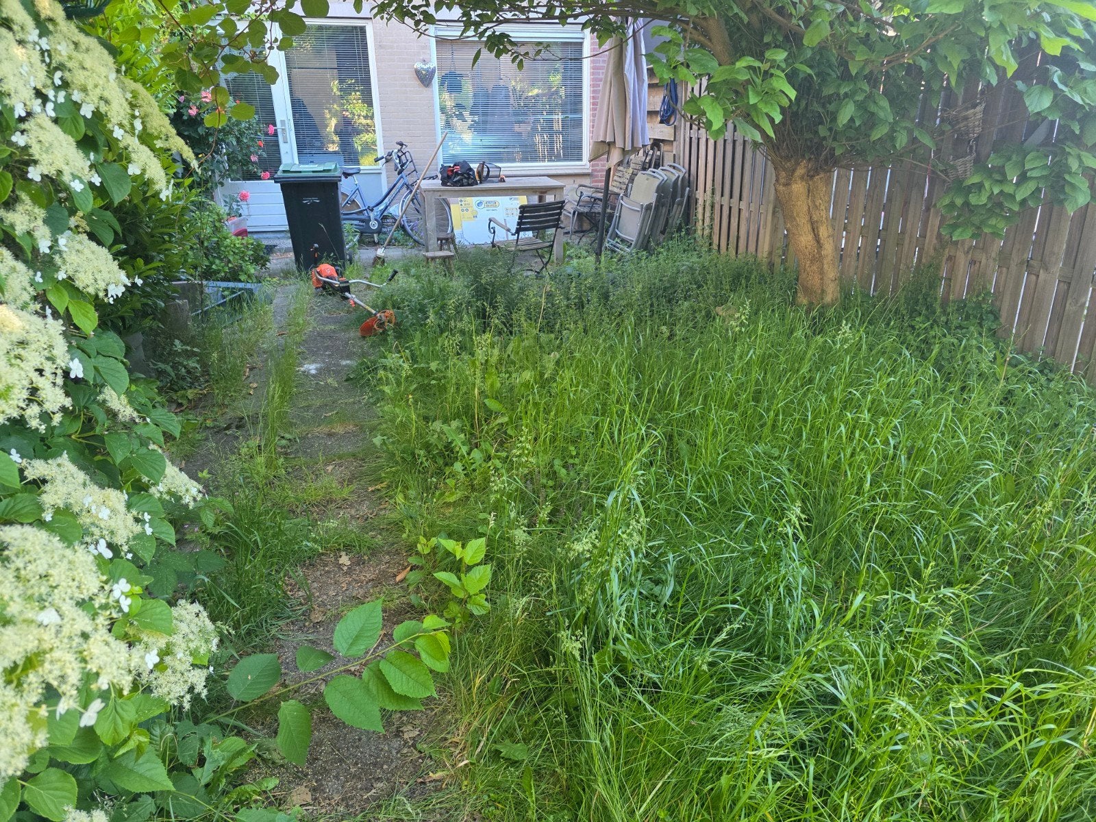 Tuinman aangeboden Flevoland Almere Lelystad 0648192906, Tuinonderhoud of Snoeiwerk