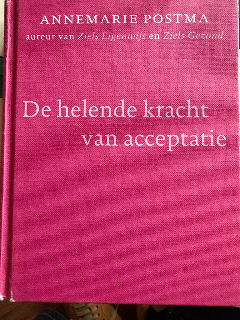 De helende kracht van acceptatie Annemarie Postma, Ophalen of Verzenden, Gelezen, Spiritualiteit algemeen, Achtergrond en Informatie