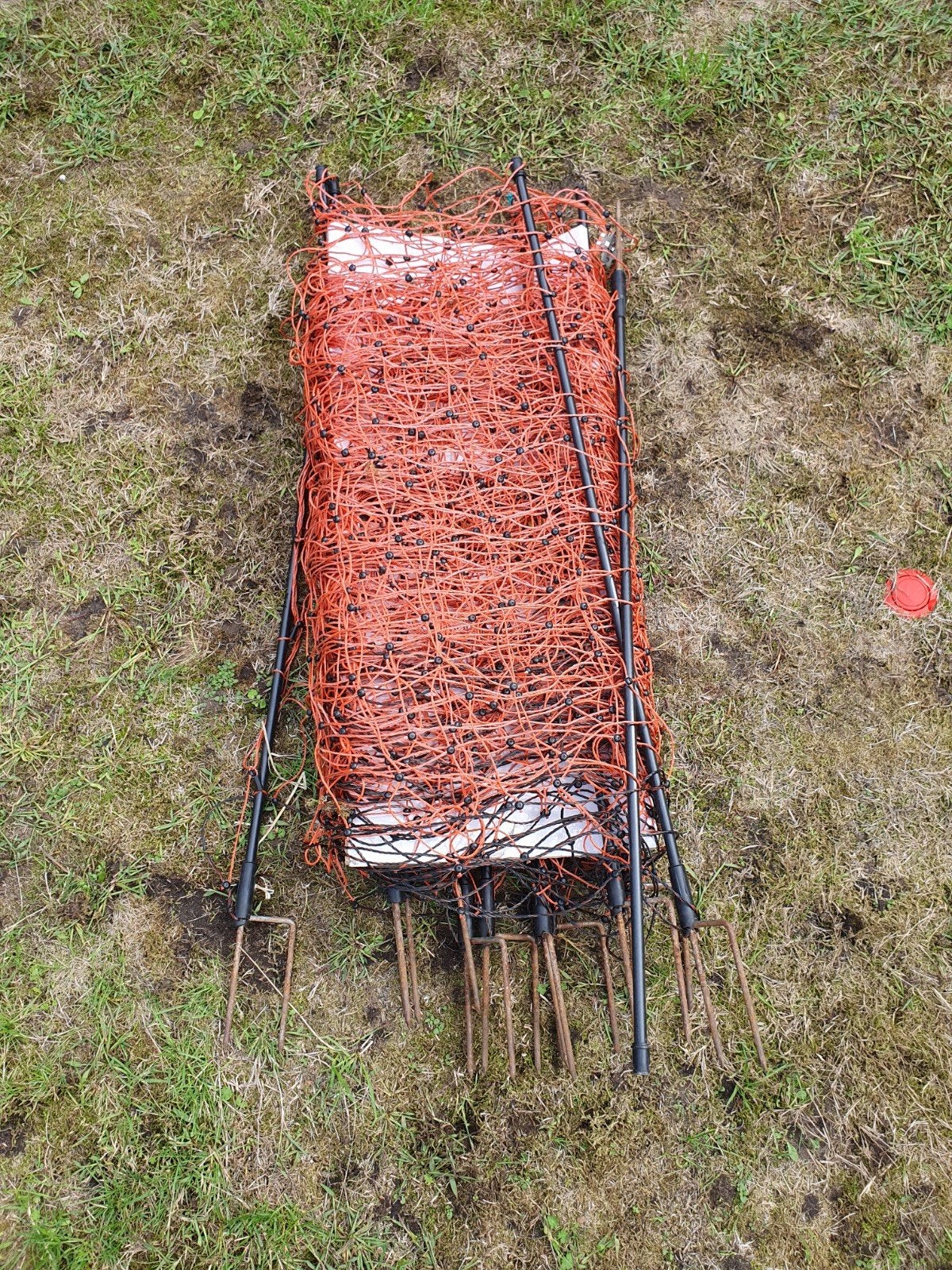 Schrikdraadnet met Ako Duo Power X 1000 + extra's, Meerdere dieren, Schaap