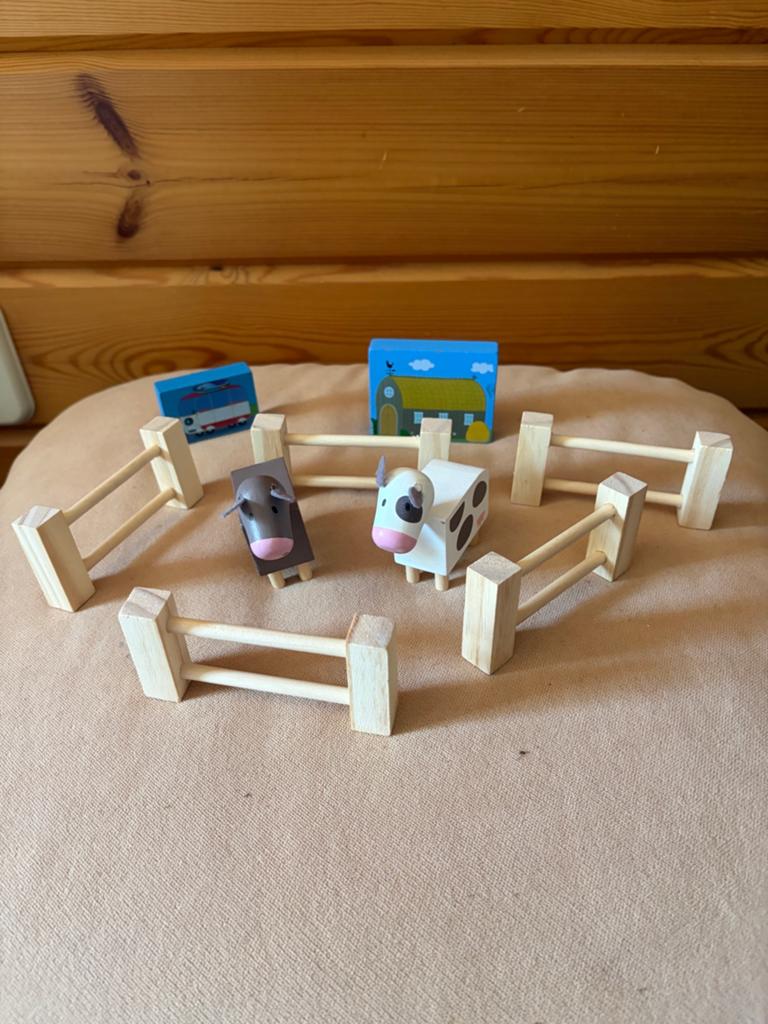 Koe en stier in hek hout, Ophalen of Verzenden, Zo goed als nieuw, Overige typen