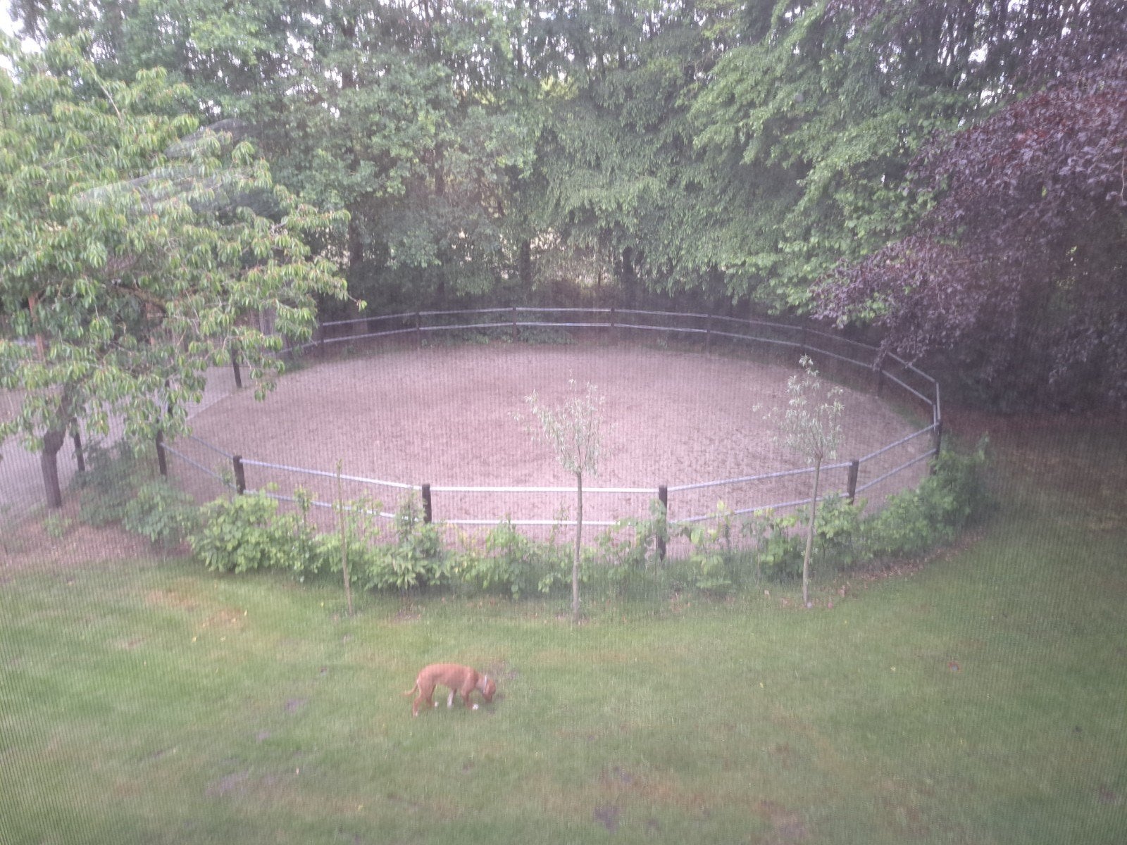 Roundpen Longeerbak 16 meter, Ophalen