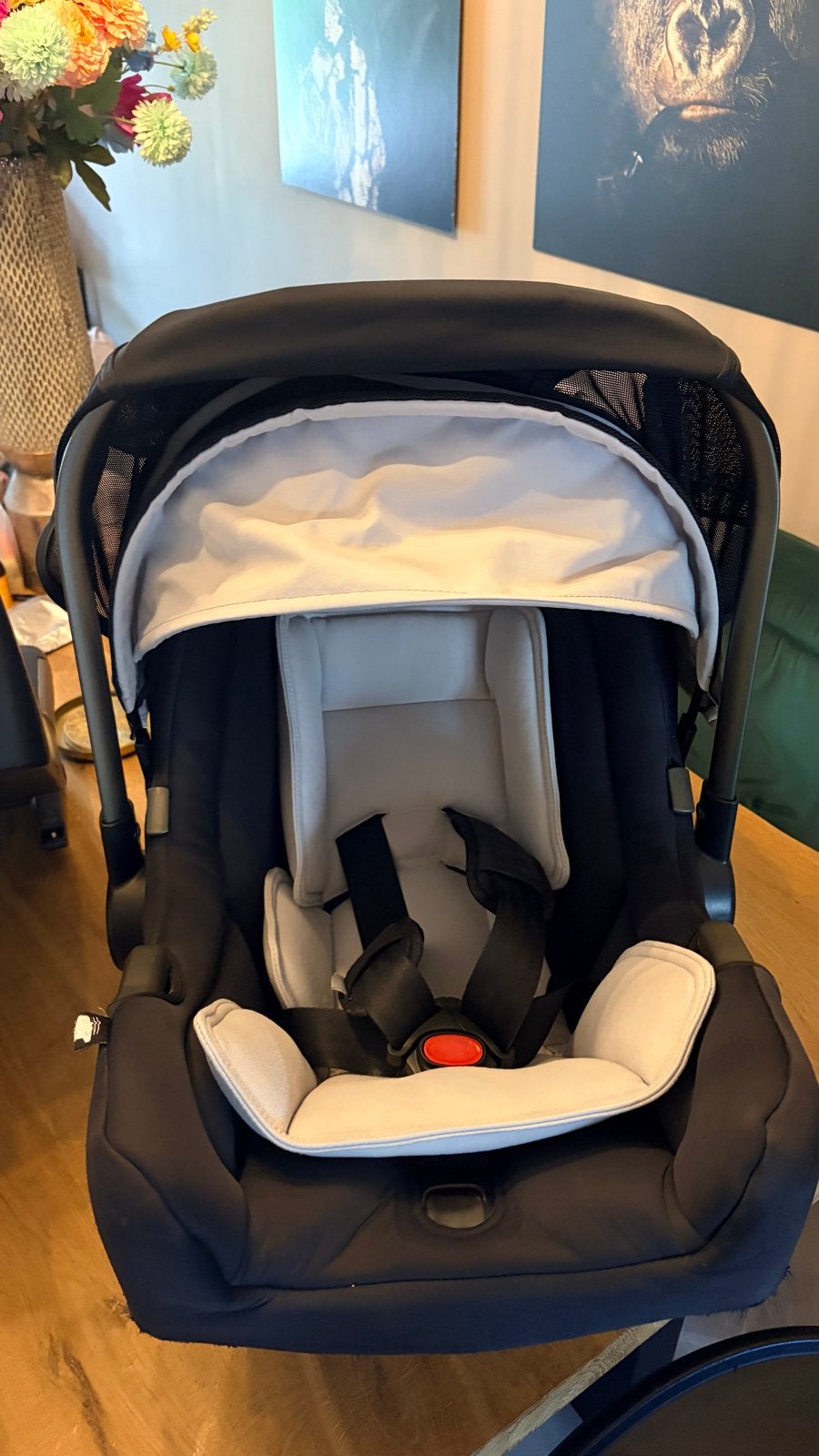 TEAB Nuna autostoel / Maxi-Cosi met ISOFIX-base, Zo goed als nieuw, Isofix, 0 t/m 13 kg, Ophalen