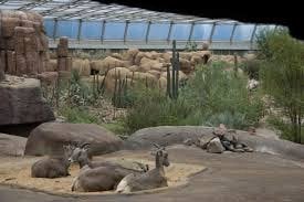 € 4,50 korting per persoon entree Burgers Zoo Arnhem, Tickets en Kaartjes, Drie personen of meer, Kortingskaart