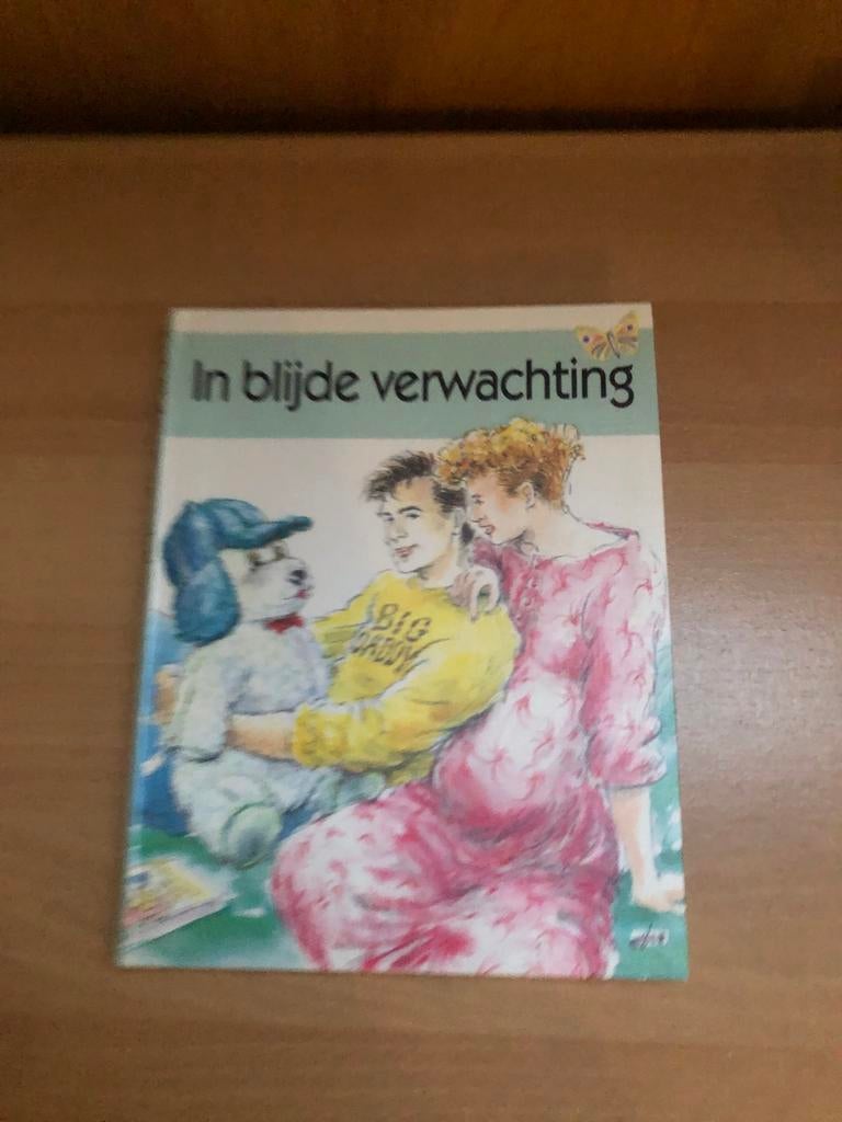 In Blijde Verwachting - Boek over zwangerschap, Ophalen of Verzenden, Gelezen, Zwangerschap en Bevalling