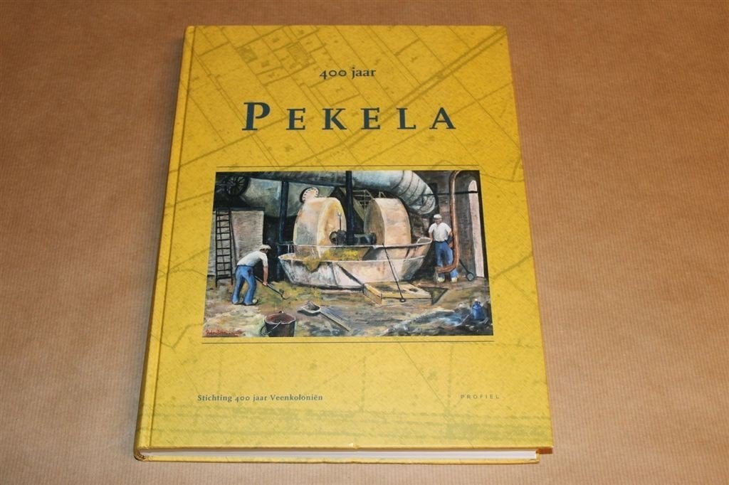 400 jaar Pekela, Boeken, Geschiedenis | Stad en Regio, Ophalen of Verzenden, Zo goed als nieuw