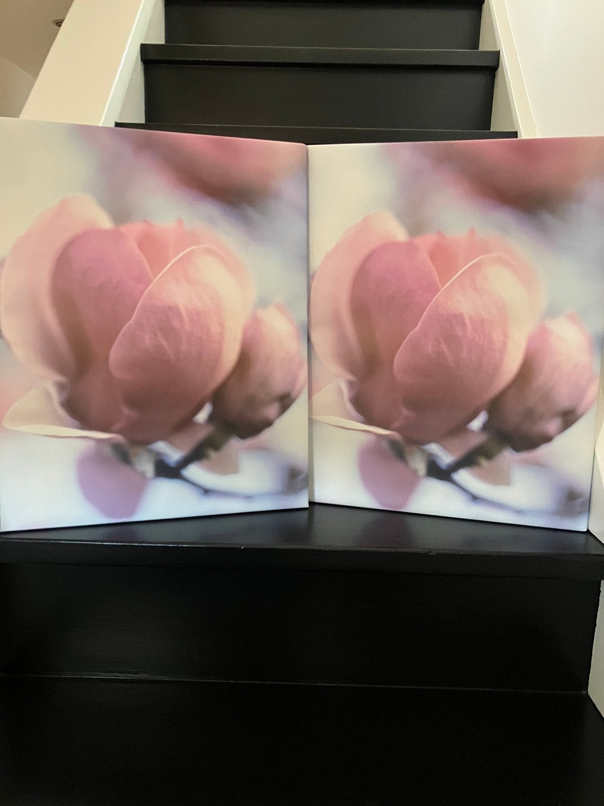 2 prachtige 50x40 magnolia schilderijen, Ophalen, Schilderij