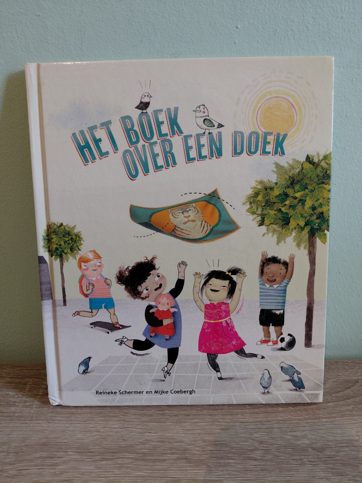 Het boek over een doek - Prentenboek, Ophalen of Verzenden, Zo goed als nieuw, Reineke Schermer en Mijke Coebergh, 3 tot 4 jaar