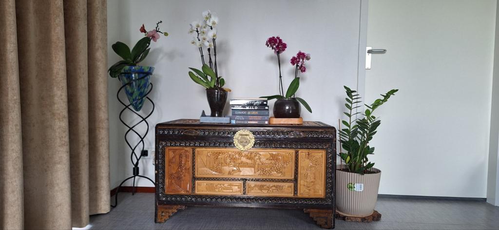 Antieke Chinese kist, handgesneden, meer dan 30 jaar oud, Antiek en Kunst, Ophalen