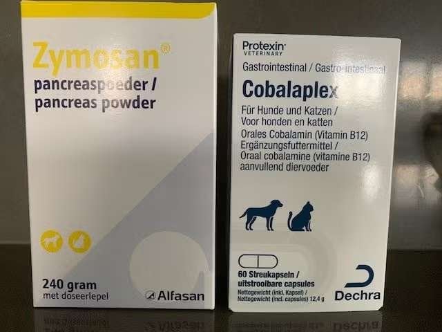 Zymosan_Cobalaplex, Verzenden, Hond