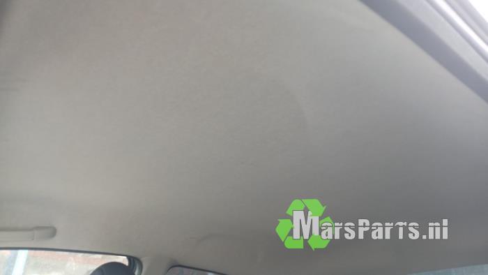 Hemelbekleding van een Peugeot 206 PLUS, Auto-onderdelen, Gebruikt, -, -, Ophalen of Verzenden