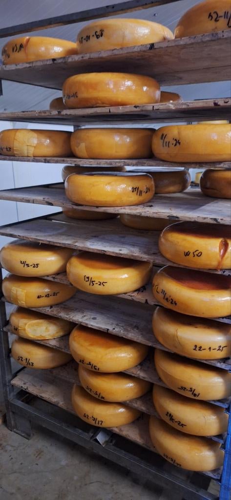 Kaas, magere 30+ kaas, oude kaas, brokkelkaas., Diversen, Levensmiddelen, Ophalen of Verzenden