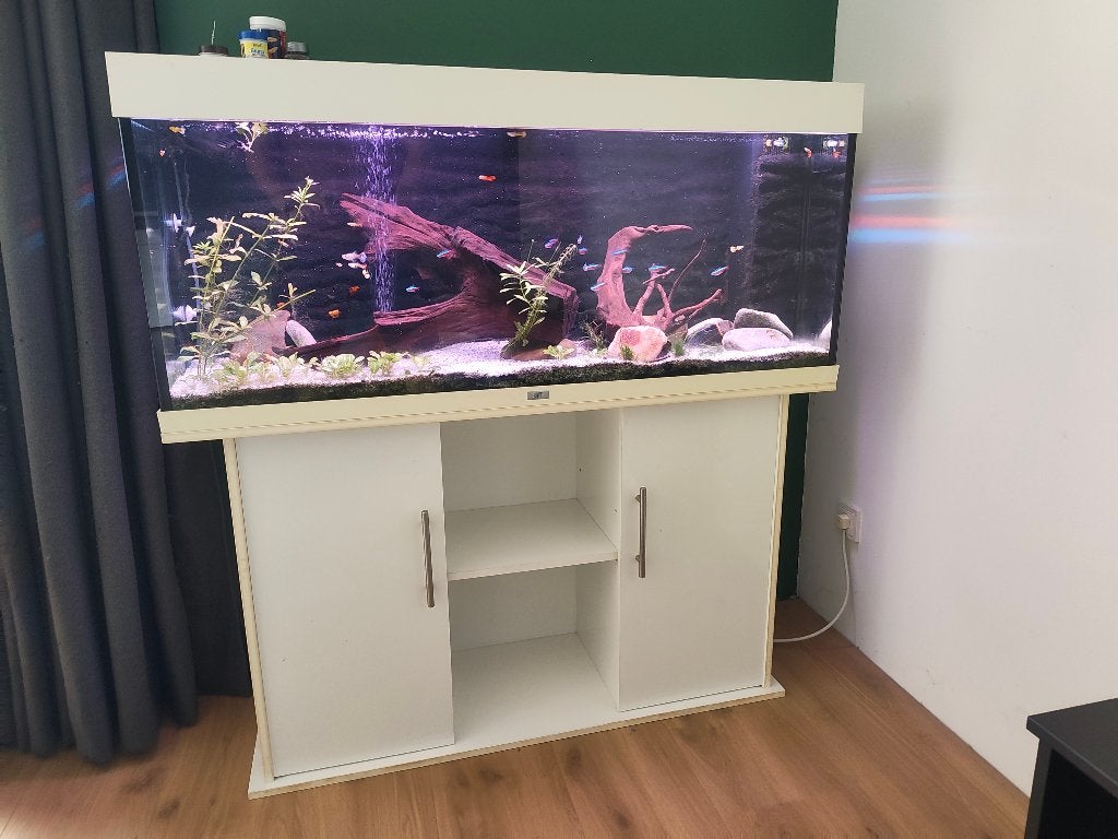 Juwel Aquarium 240 Liter met veel extra's, Dieren en Toebehoren, Ophalen, Gebruikt, Gevuld zoetwateraquarium, Inclusief vissen