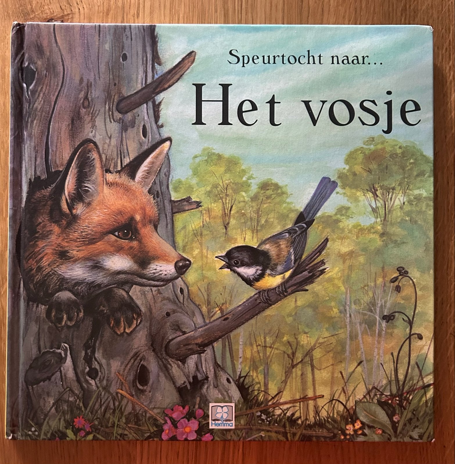 Speurtocht naar... Het vosje - Prentenboek Hemma, Boeken, Ophalen of Verzenden, Gelezen, Fictie algemeen