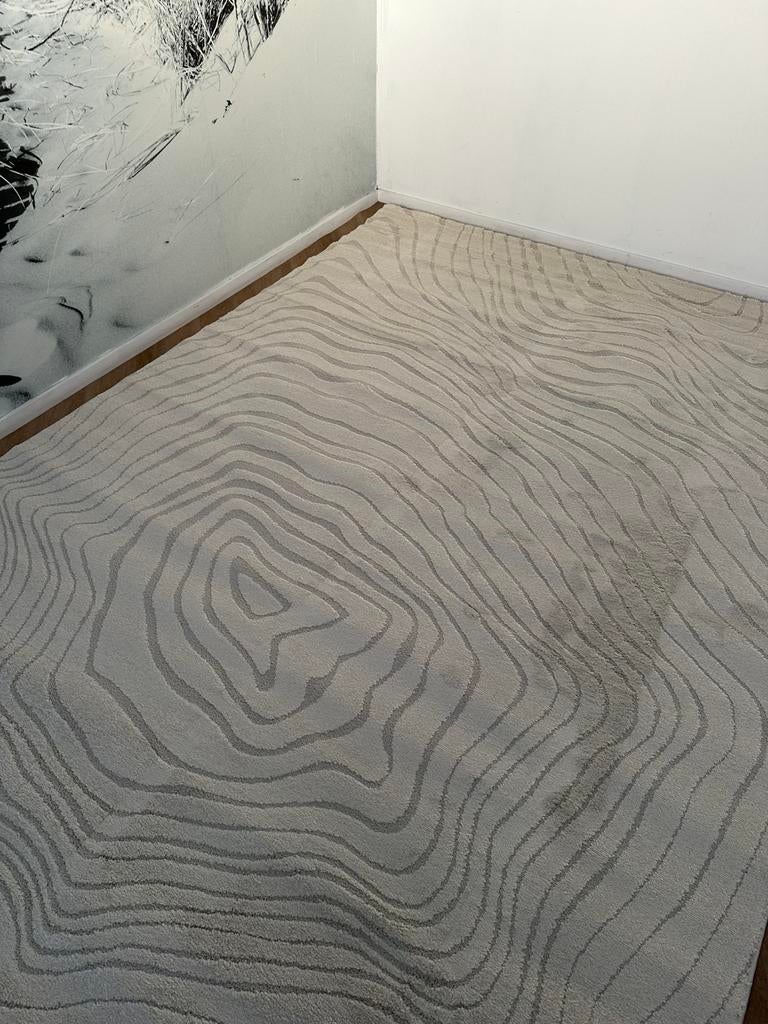 Brinker Design 200/290 vloerkleed, Ophalen of Verzenden, 200 cm of meer, Rechthoekig, Nieuw
