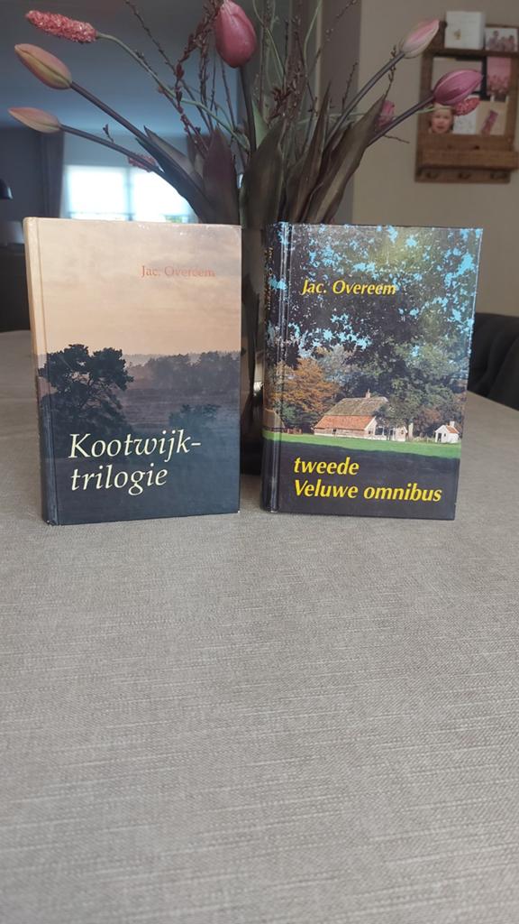 Jac. Overeem: Kootwijk-trilogie & Tweede Veluwe omnibus, Ophalen of Verzenden, Zo goed als nieuw, Jac. Overeem, Nederland