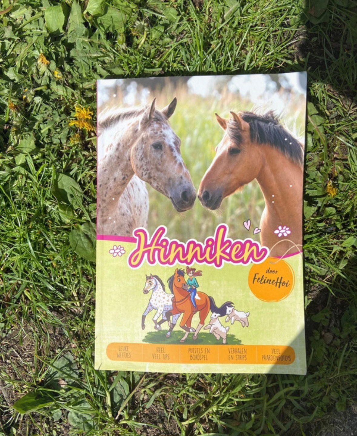 Felinehoi hinniken boek, Boeken, Ophalen of Verzenden, Nieuw, Paarden of Pony's