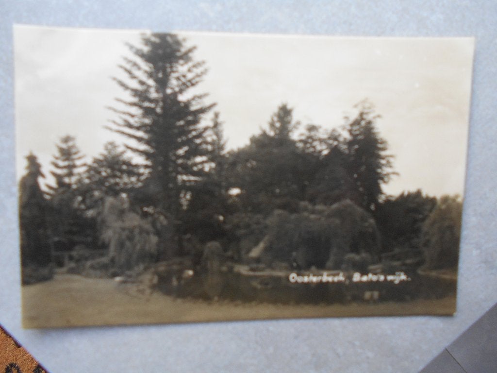 Oosterbeek, Bato's Wijk oude fotokaart mooi park Oosterbeek, Ophalen of Verzenden, 1940 tot 1960, Ongelopen, Gelderland