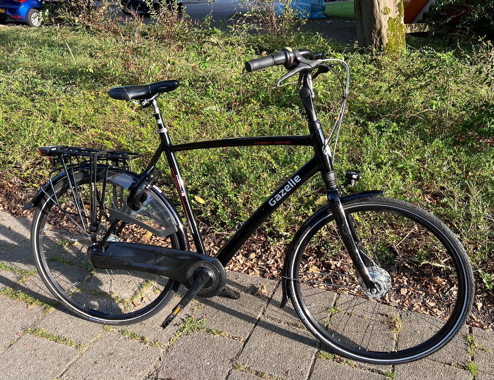 Foto 2 van Gazelle Chamonix C8 heren 61cm