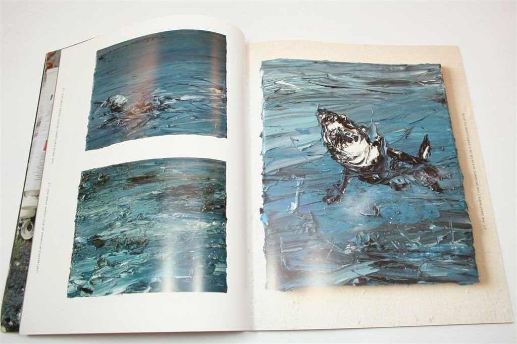 Screech — Schilderijen van Simon Schrikker Catalogus, Ophalen of Verzenden, Gelezen