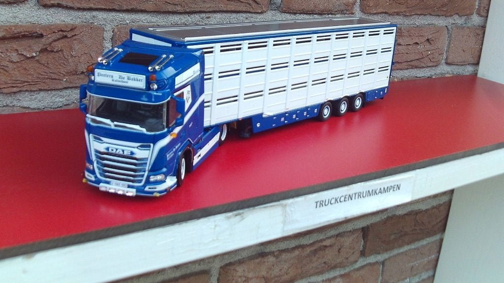 WSI  Daf  XG+  4 x 2  van  Peter  de  Bakker., Ophalen of Verzenden, Nieuw, Bus of Vrachtwagen, Wsi