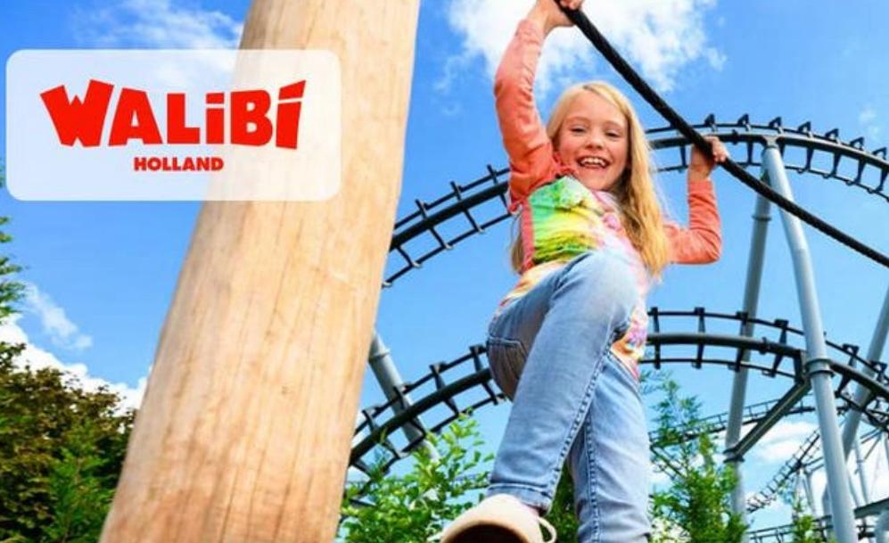 Walibi holland kaartjes, Tickets en Kaartjes, Twee personen, Ticket of Toegangskaart