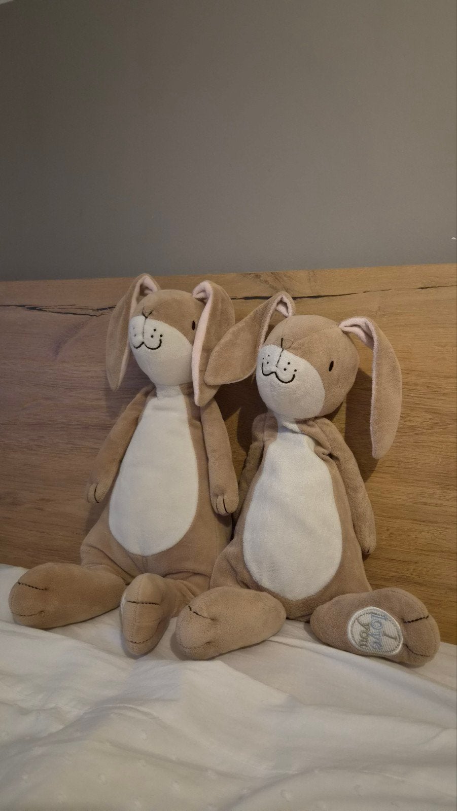 Hazeltje - Raad eens hoeveel ik van je hou, Kinderen en Baby's, Speelgoed | Knuffels en Pluche, Ophalen of Verzenden, Nieuw, Konijn