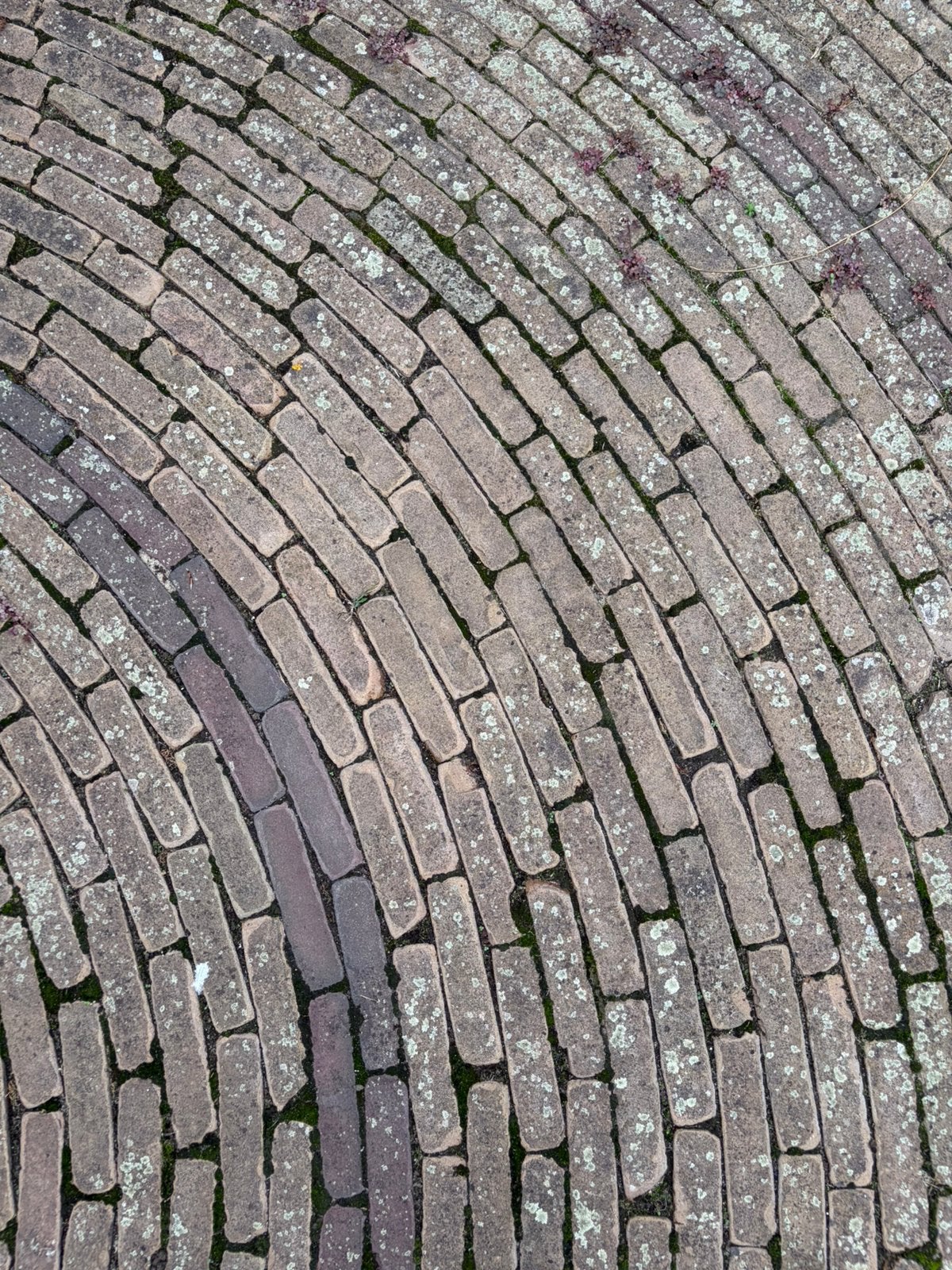 Waaltjes gratis af te halen. Ca. 40m2, Tuin en Terras, Ophalen, Gebruikt, Klinkers, 10 m² of meer