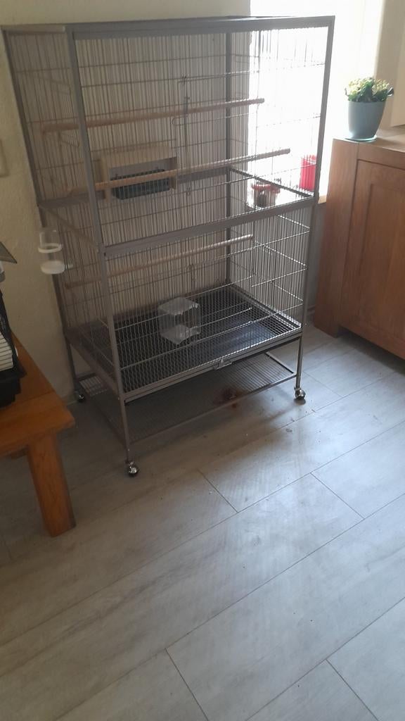 Vogel voilere, Ophalen, Zo goed als nieuw, Metaal, Vogelkooi
