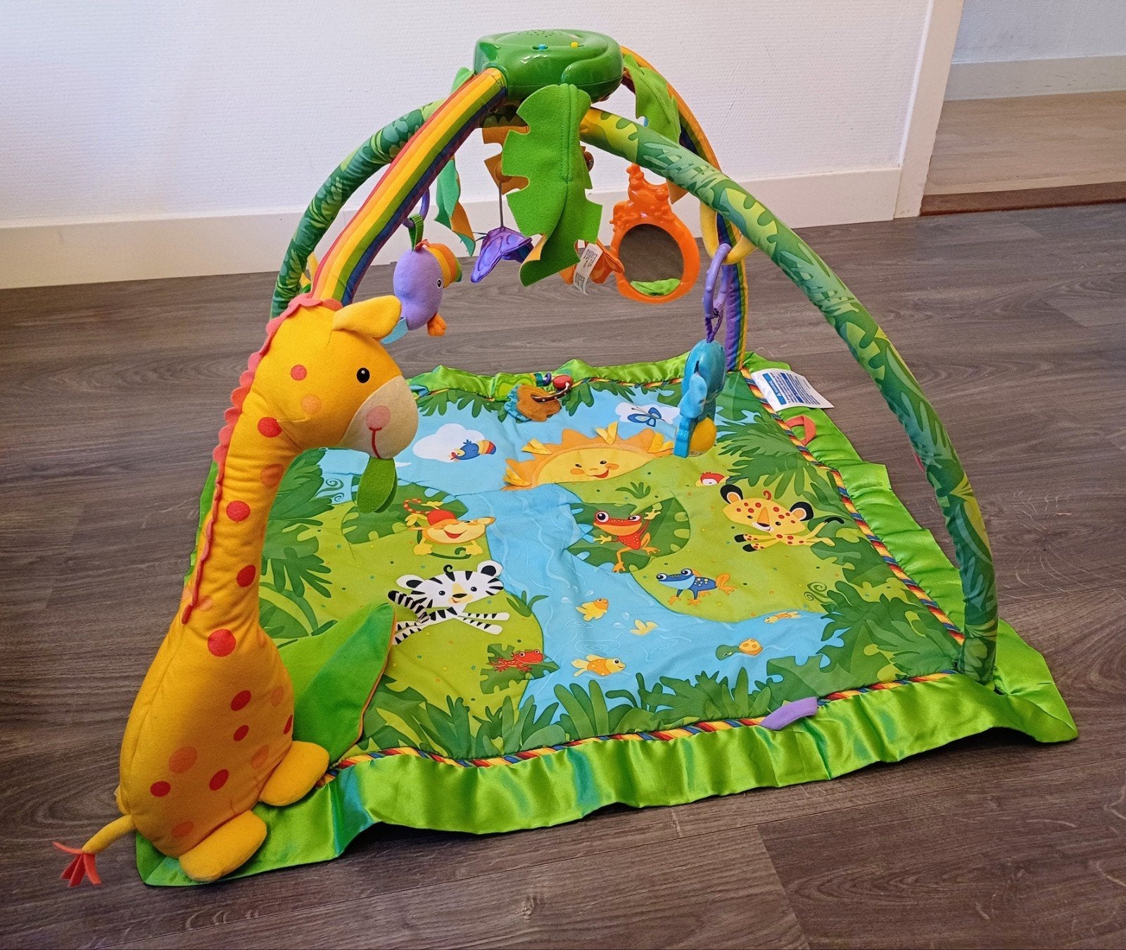 Fisher price speelmat, Ophalen, Gebruikt