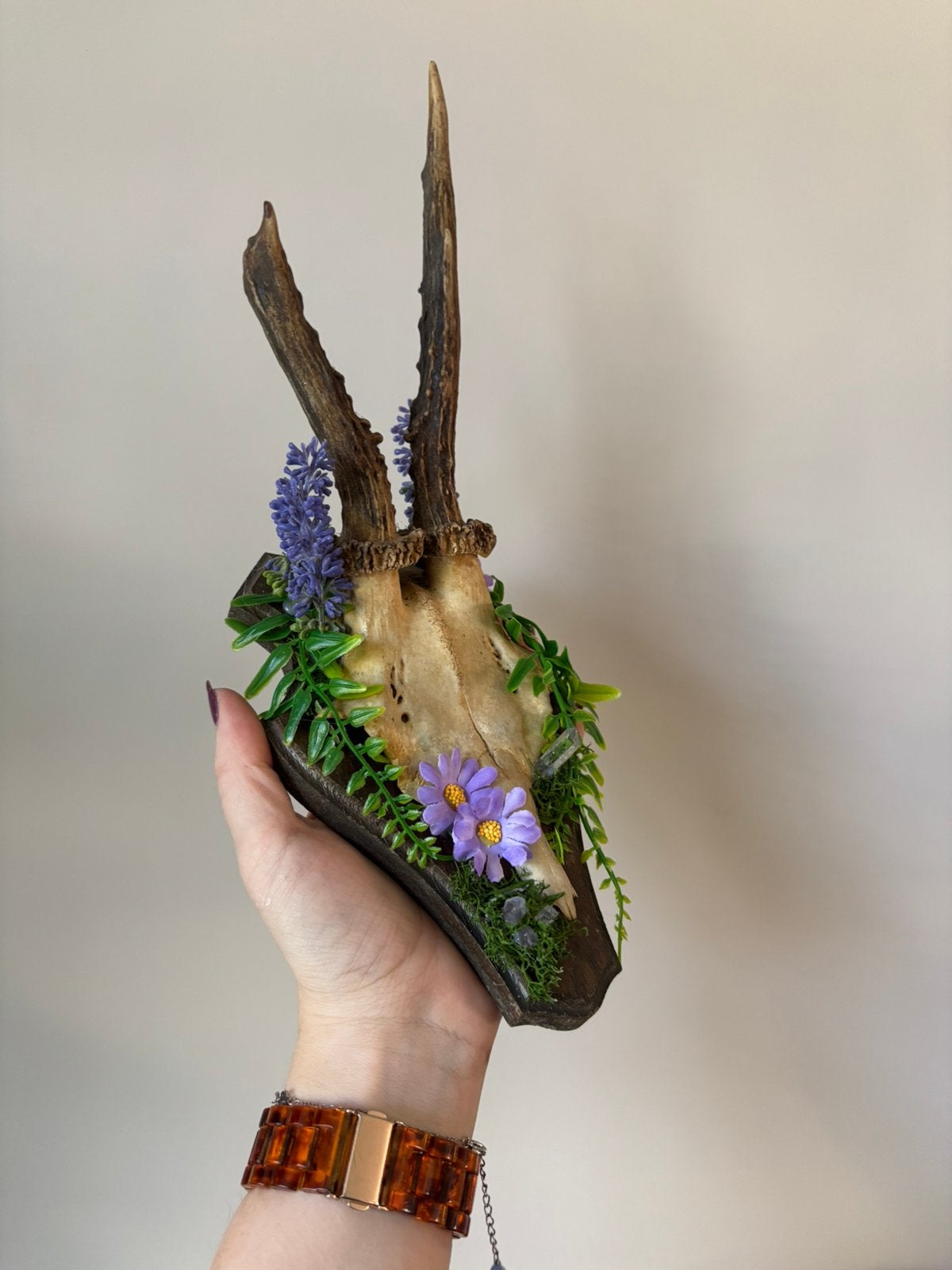 Reebok schedel/gewei - met kunstbloemen en edelstenen, Ophalen of Verzenden