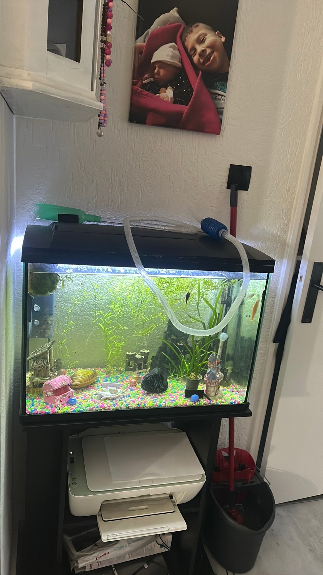 Compleet aquarium, Dieren en Toebehoren, Vissen | Aquaria en Toebehoren, Ophalen of Verzenden, Gebruikt, Aquariummeubel