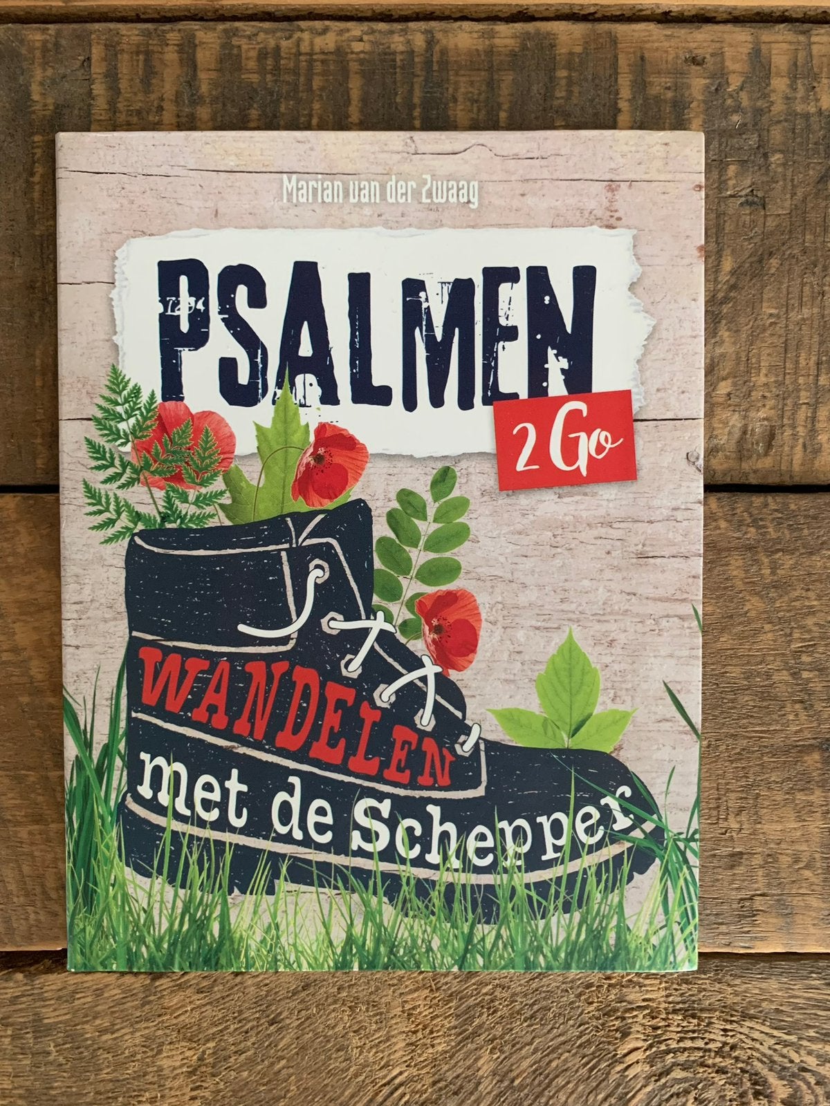 Psalmen 2 Go, wandelen met de Schepper - M. van der Zwaag, Boeken, Ophalen of Verzenden, Nieuw