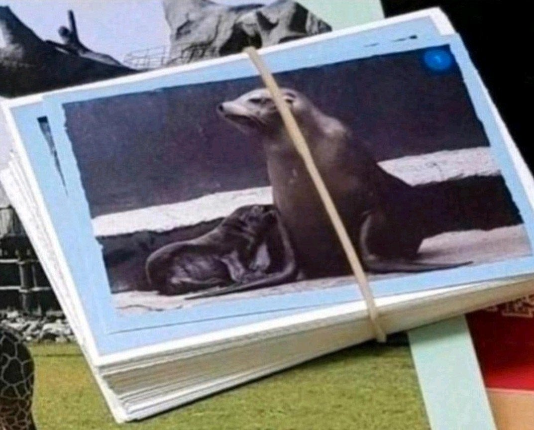 Jumbo Diergaarde Blijdorp plaatjes, Jumbo, Ophalen of Verzenden