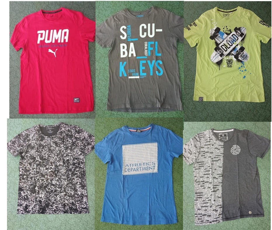 6 T shirts maat L alle 6 voor 12,50, Ophalen of Verzenden, Zo goed als nieuw, Overige kleuren